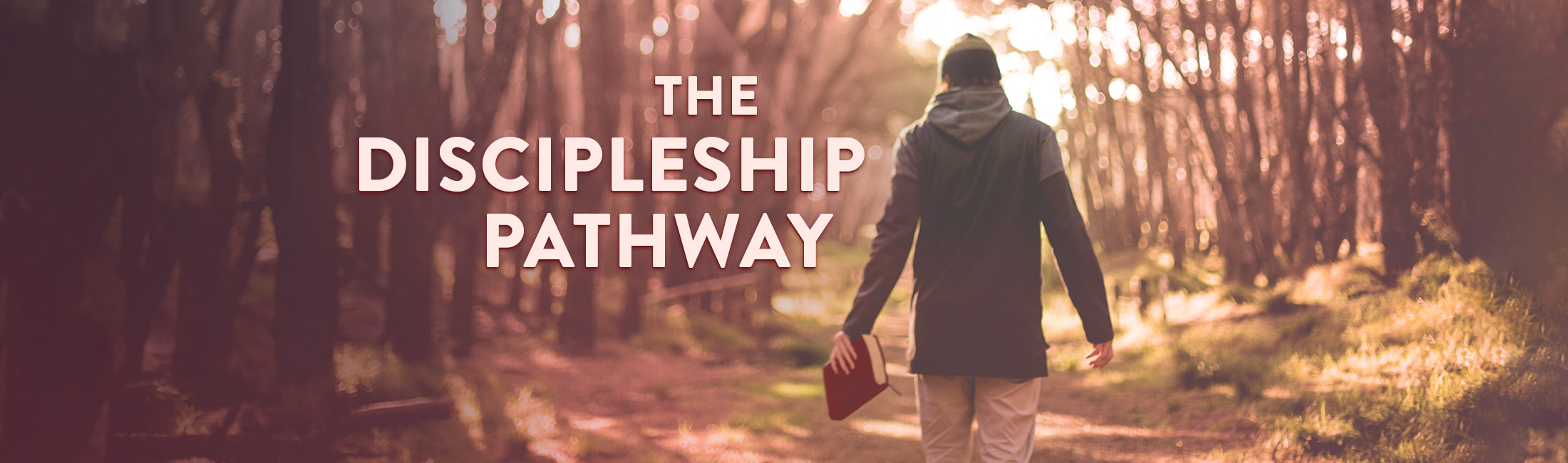 Discipleship Pathway_Website Header